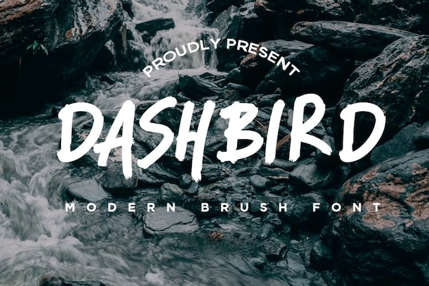 Dashbird