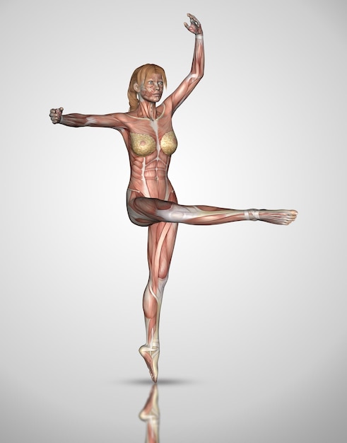 Free Photo 3d female figure in ballet pose with muscles highlighted