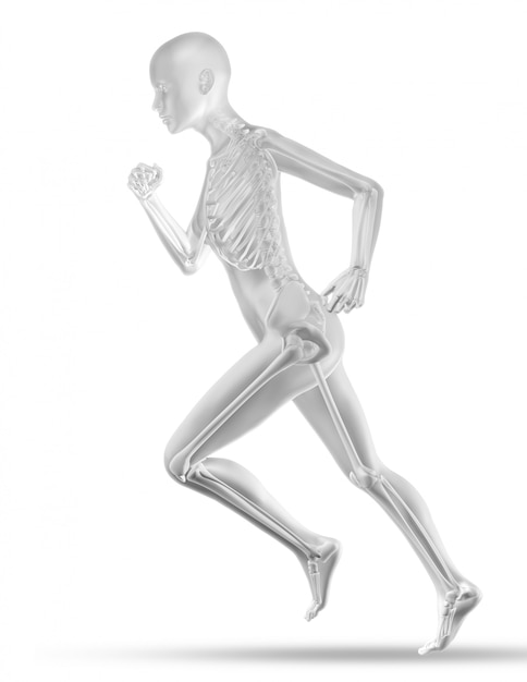 Free photo 3d female medical figure with skeleton jogging