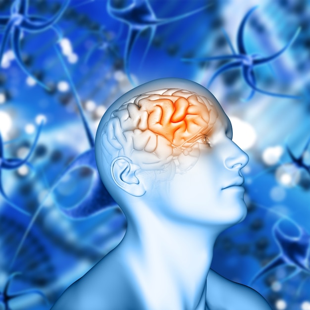 Free Photo 3d male figure with brain highlighted on virus cell background