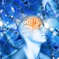 Free photo 3d male figure with brain highlighted on virus cell background