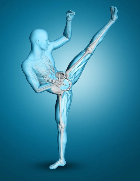 3d male medical figure in kick boxing pose