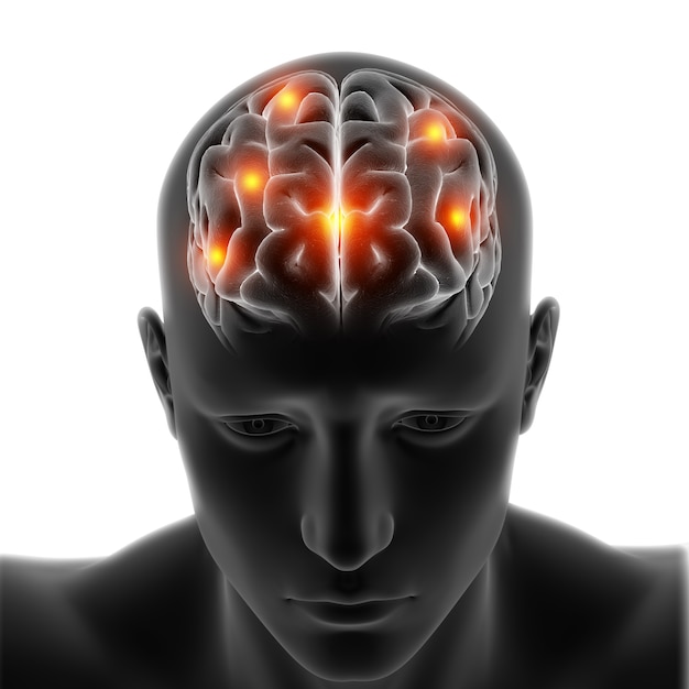 Free photo 3d medical figure with brain highlighted on white background