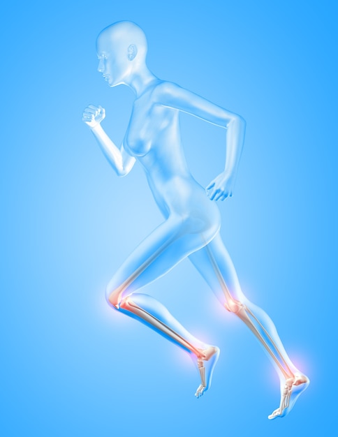 Free Photo 3d render of a female figure running with knee and ankle bones highlighted