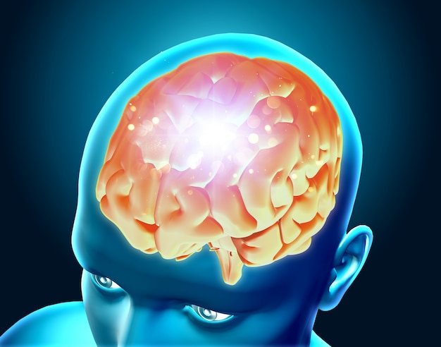 Free photo 3d render of a highlighted brain