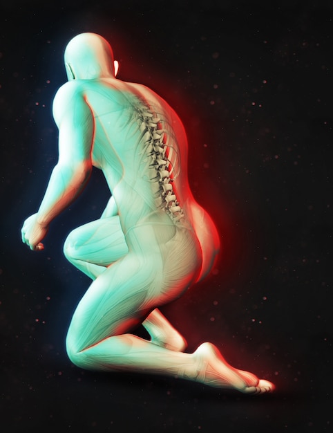 Free photo 3d render of a male figure with spine