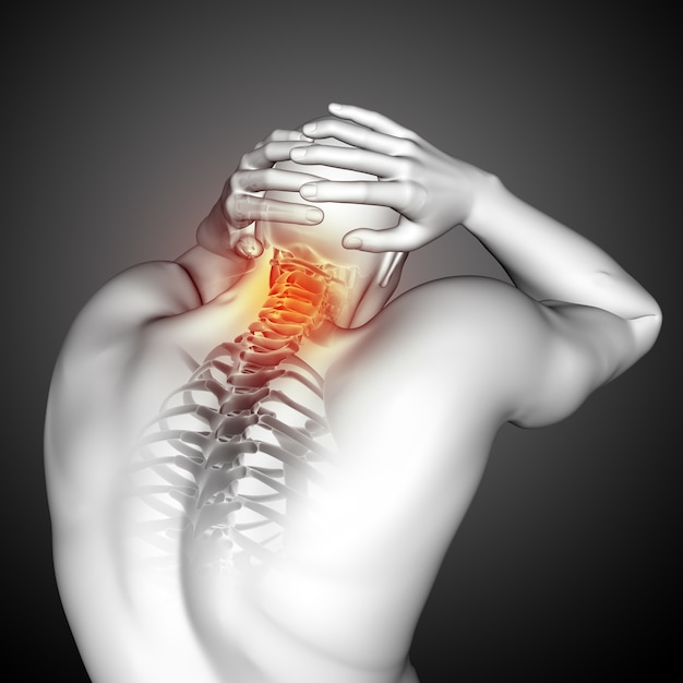 Free photo 3d render of a male medical figure with top of spine highlighted