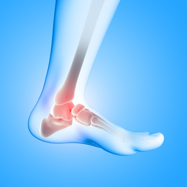 Free Photo 3d render of a medical image of close up of ankle bone in foot