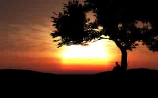 Free photo 3d silhouette of a boy sitting under a tree at sunset