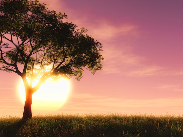 3D tree against a sunset sky