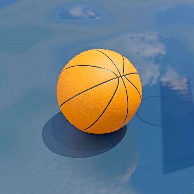 3d view of basketball essentials