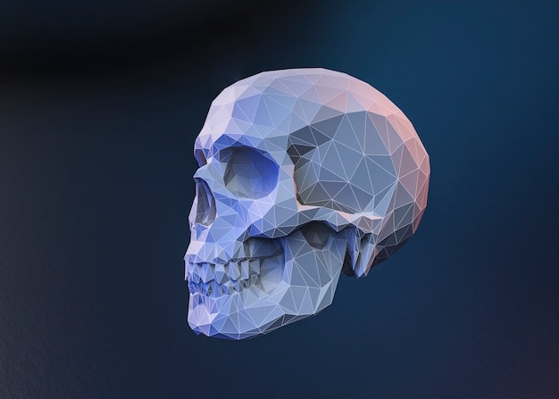 Free Photo 3d view of skull