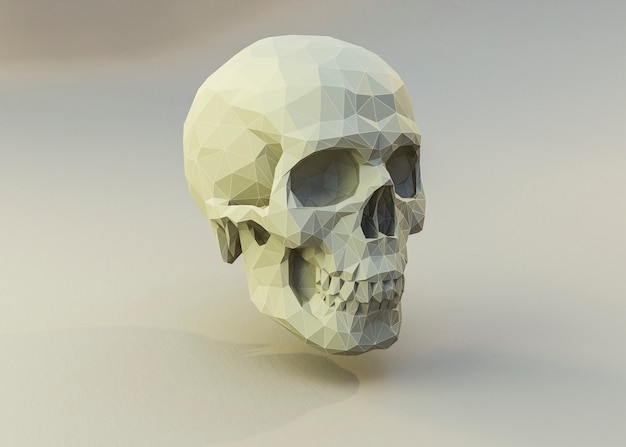 Free Photo 3d view of skull