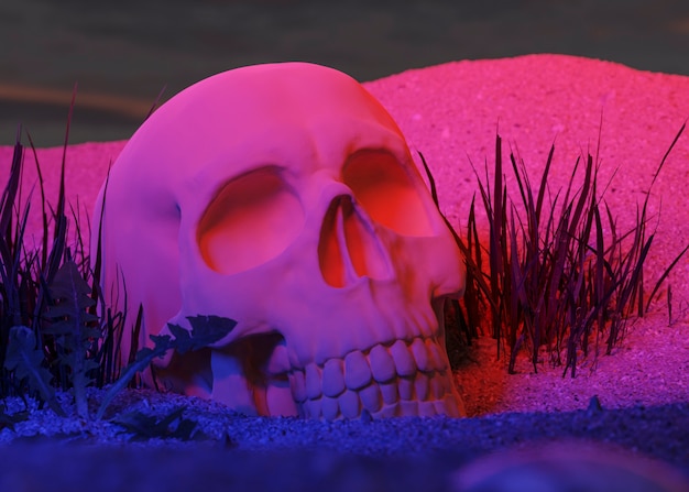 Free photo 3d view of skull