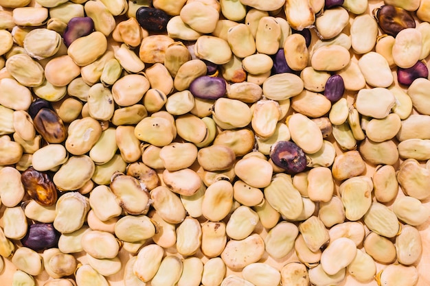 Free Photo abstract background of beans