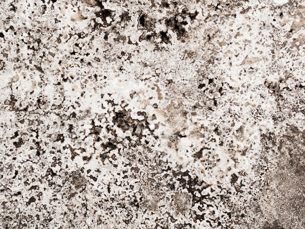 Abstract background of marble textured