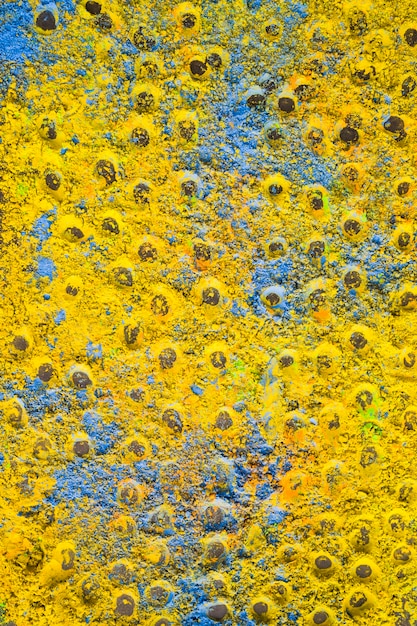 Abstract blue and yellow holi powder background