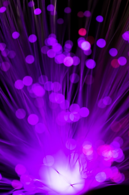 Free photo abstract blurred flower in purple