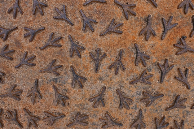 Free Photo abstract close-up of rusty metallic wallpaper