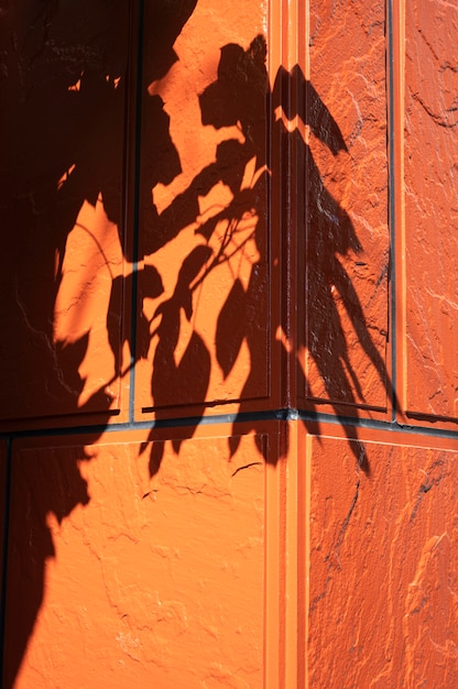 Free Photo abstract daytime shadows from outdoors