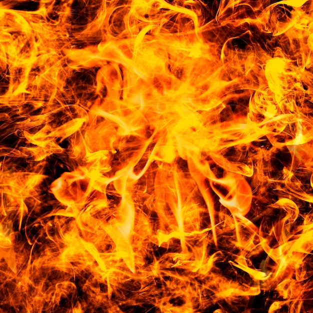 Free Photo abstract flame background, blazing orange fire