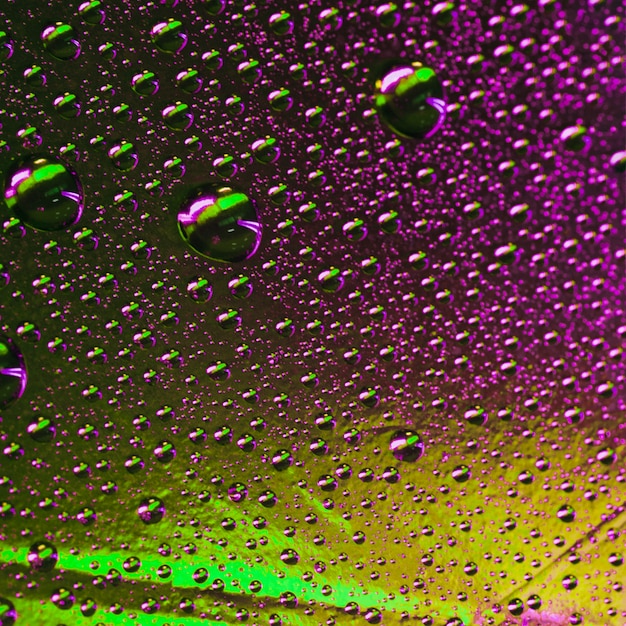 Free Photo abstract green and purple wet texture with bubbles on window glass surface