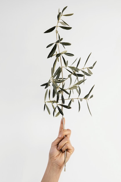 Abstract minimal plant being help in hand