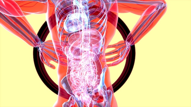 Free photo abstract motion design of backpain and kidneys