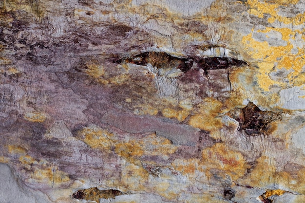 Free Photo abstract natural stone texture