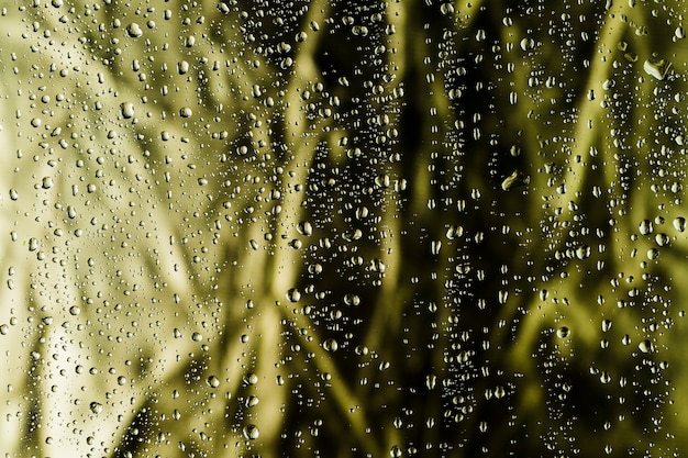 Free photo abstract surface with water drops