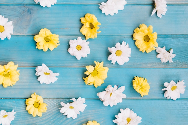 Free photo abstract white and yellow blooms