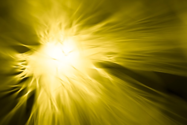 Free Photo abstract yellow flower by optical fibers