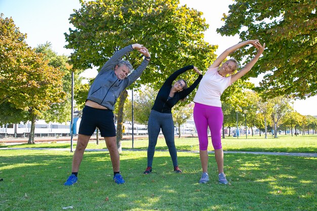 Active sporty mature people doing morning exercise in park, standing on grass and bending trunks. Retirement or active lifestyle concept