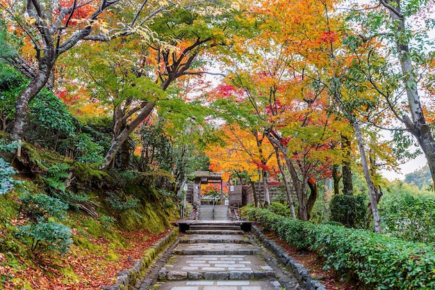 Free photo adashinonenbutsuji temple in autumn, kyoto in japan.