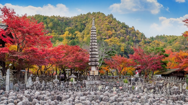 Free Photo adashinonenbutsuji temple in autumn, kyoto in japan.