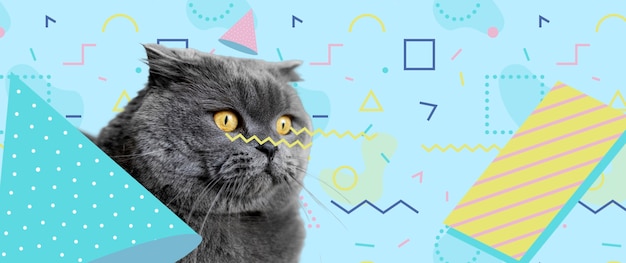 Free Photo adorable cat with abstract colorful graphic background