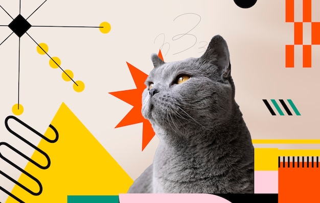 Free Photo adorable cat with abstract colorful graphic background