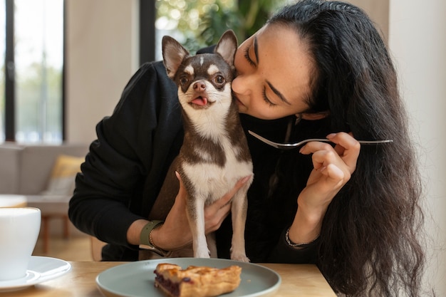 Adorable chihuahua dog with female owner