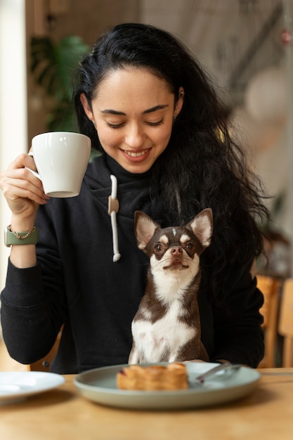 Adorable chihuahua dog with female owner