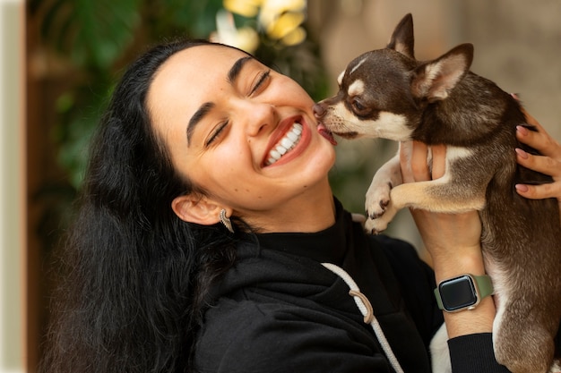 Adorable chihuahua dog with female owner