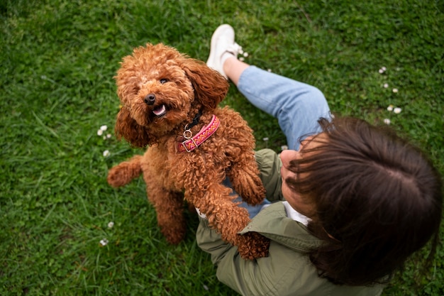 Free Photo adorable dog at the park in nature with owner