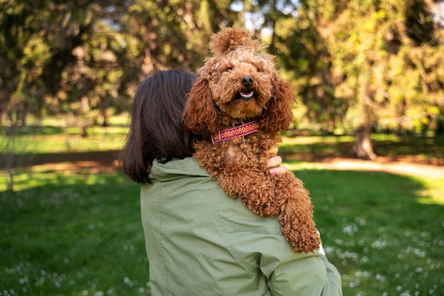 Adorable dog at the park in nature with owner