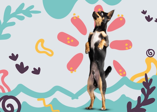 Free photo adorable dog with abstract colorful graphic background