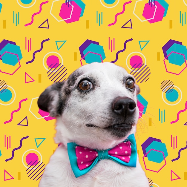 Free Photo adorable dog with abstract colorful graphic background