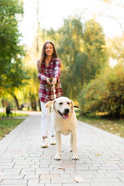 Free Photo adorable labrador outside for a walk