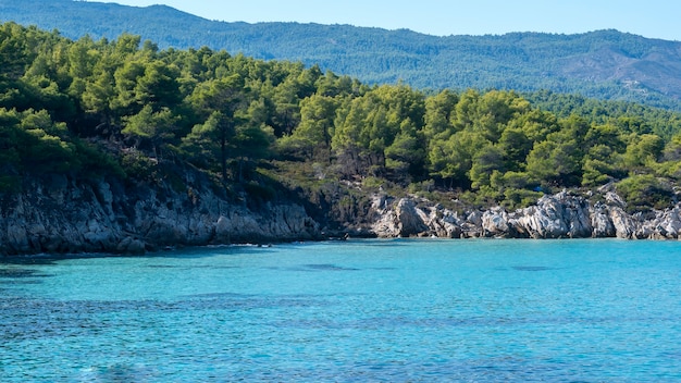 Aegean sea coast with greenery around, rocks, bushes and trees, blue water, Greece