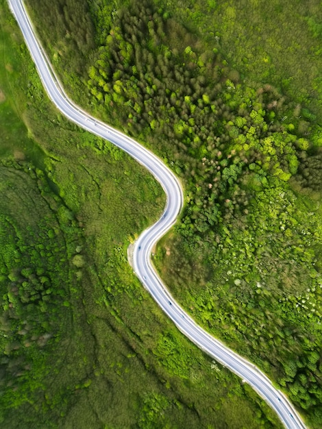 Free photo aerial drone vertical view of nature in moldova road going through a lush green forest