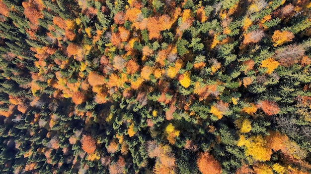 Aerial drone view of nature in Romania