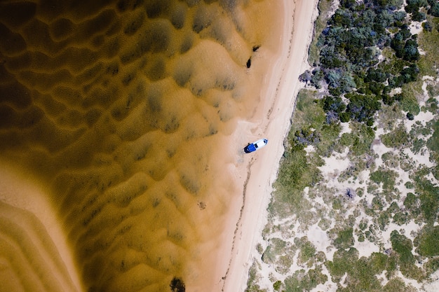 Free Photo aerial overhead shot of a boat on the shore with trees on the right side