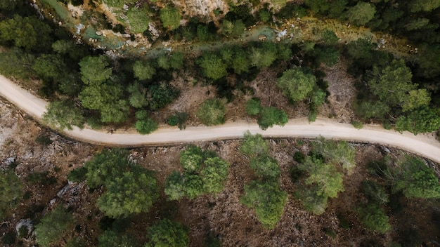 Aerial scenery view of forests